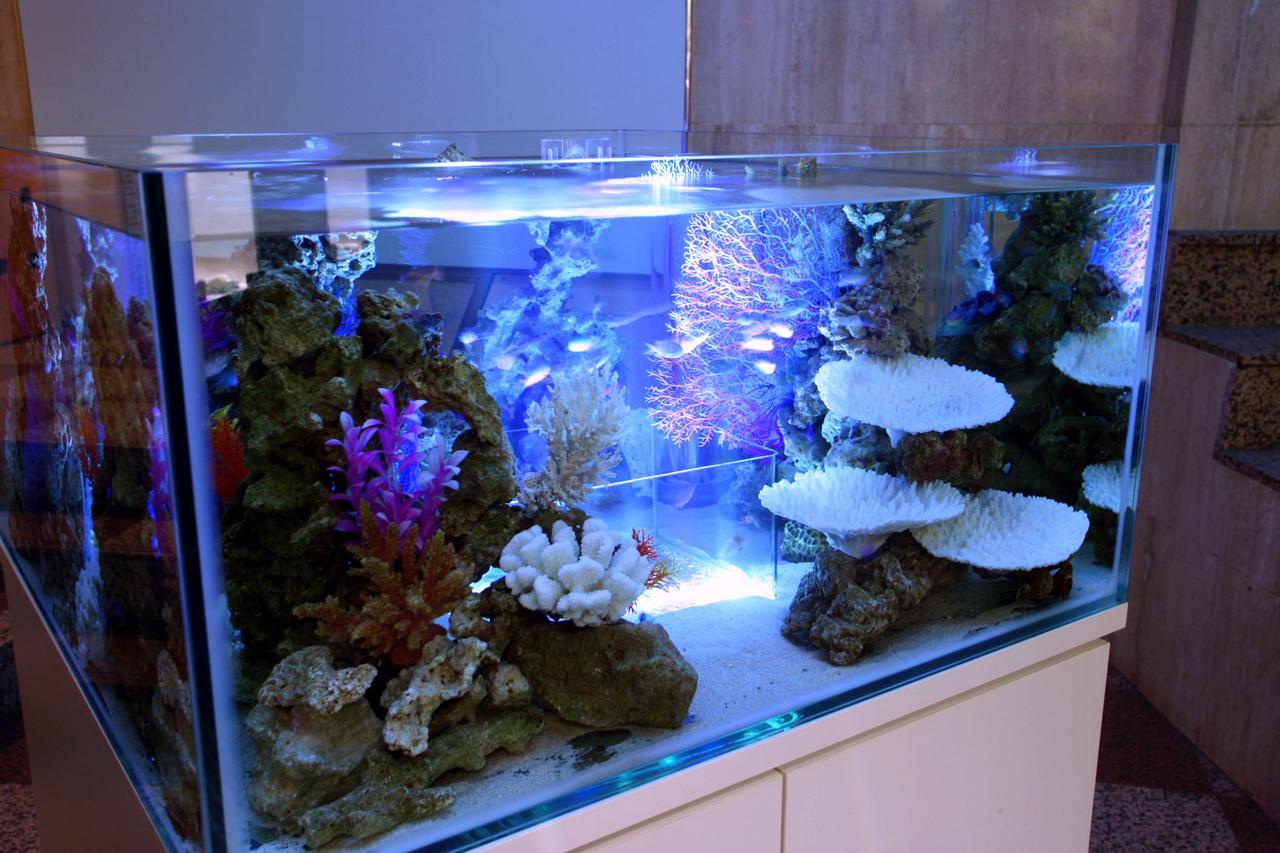 Hotel Aqua Blue Yokosuka (Adults Only) Bagian luar foto